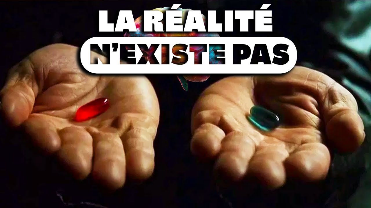 L'invention de la réalité : Le CONSTRUCTIVISME de l'école de PALO ALTO
