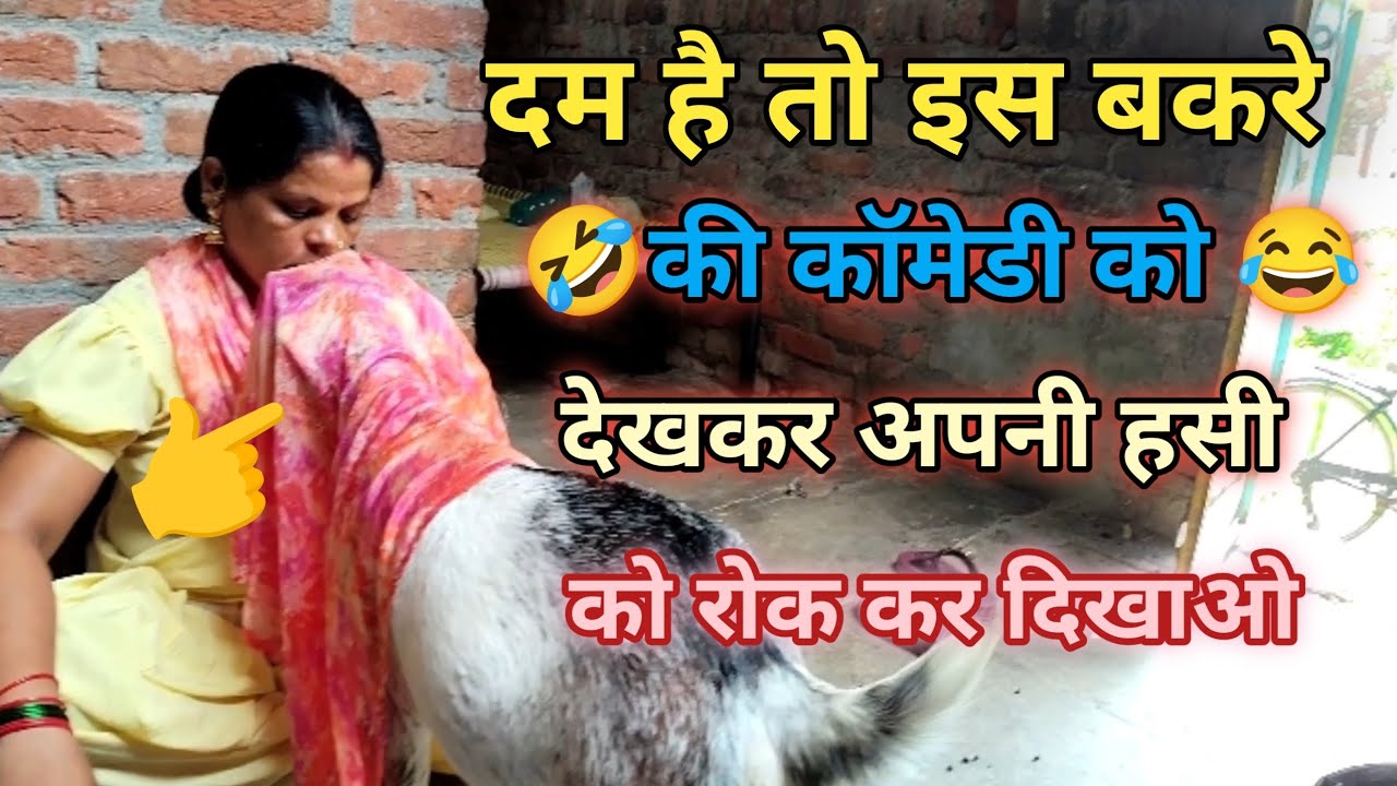 दम है तो इस बकरे की कॉमेडी को देखकर अपनी हसी रोक कर दिखाओ#funny#bakra#vilog