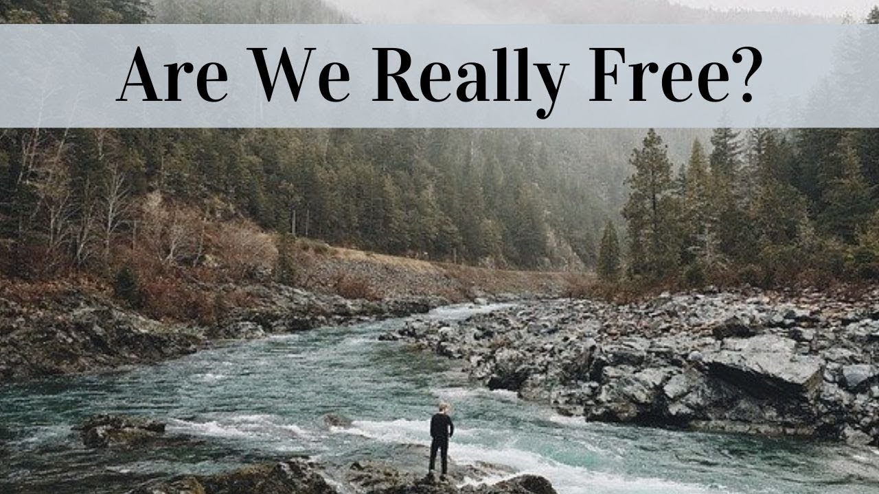 Are We Really Free? Were We Ever??(Patreon Archives)