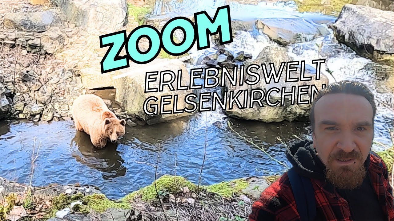 Zoom Erlebniswelt Gelsenkirchen Rundgang Zoo