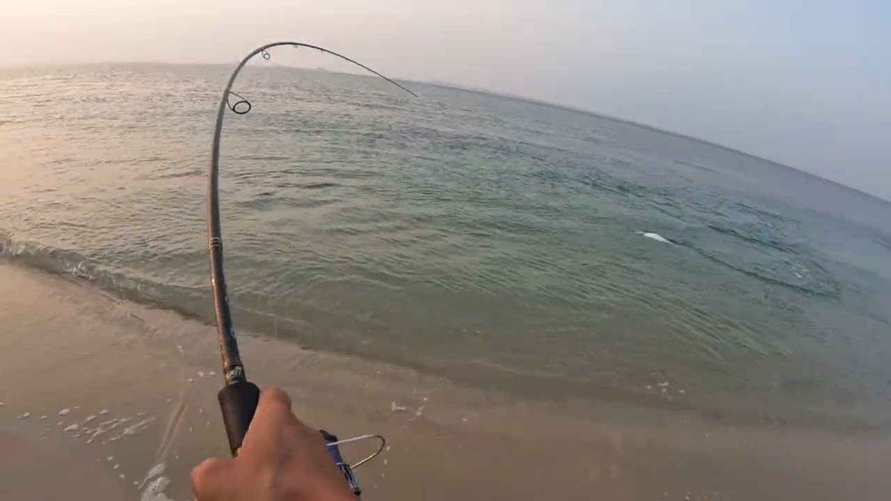 Light shore jigging for queen fish 101025