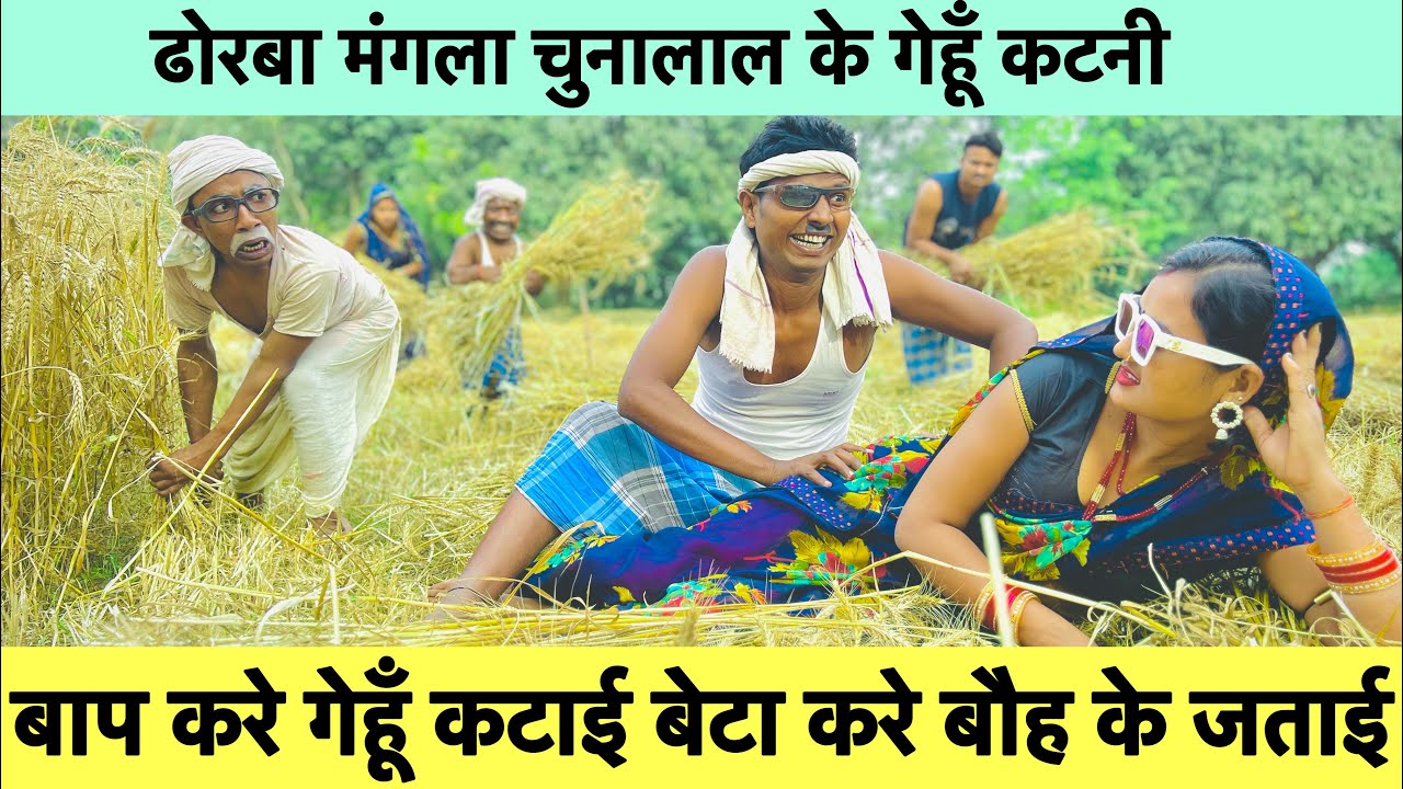 बाप करे गेहूँ कटाई बेटा करे बौह के जताई 🤪 chunalal dhorba comedy