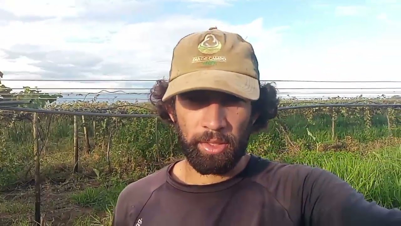 T.2 - EP.26 Serviços gerais 