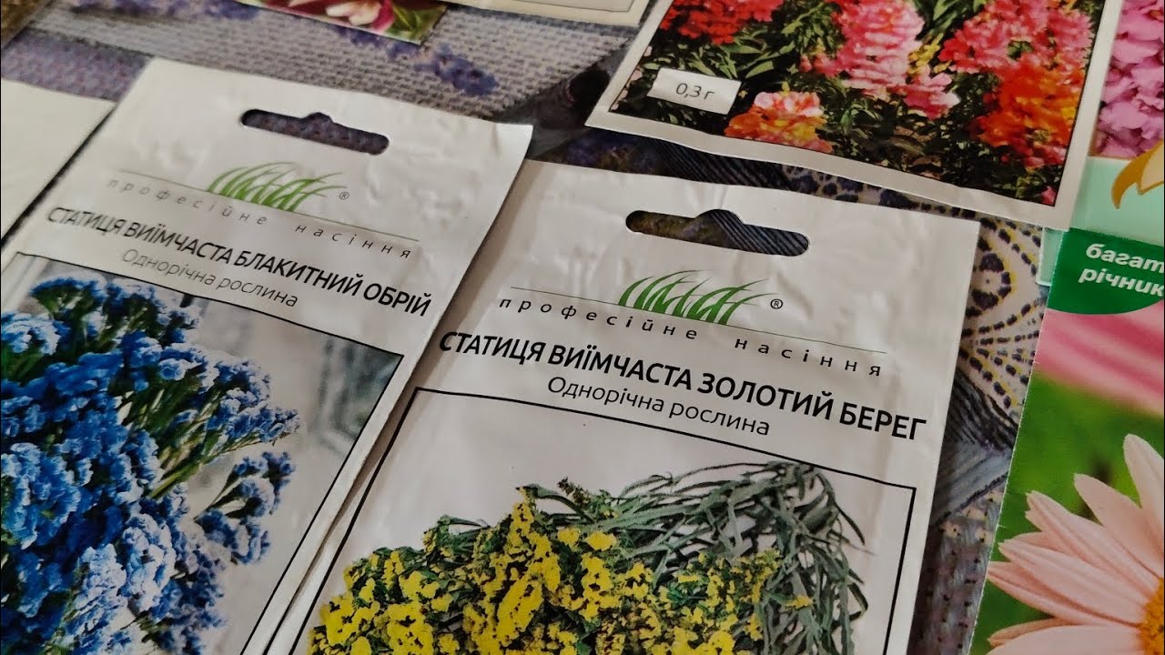 Знову сію квіти! 🌸🌼🌸 24.02.2026