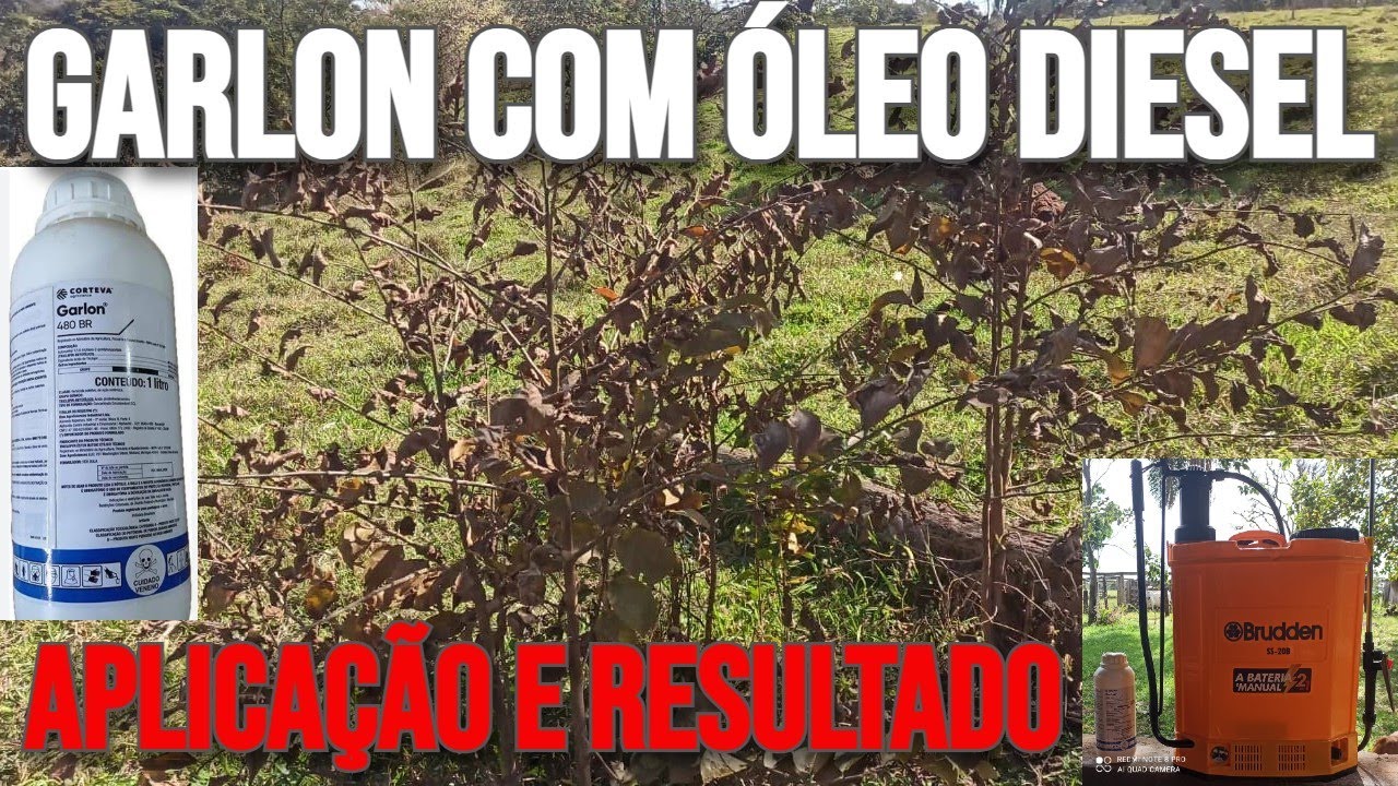 GARLON com OLEO DIESEL, APLICAÇÃO e RESULTADO