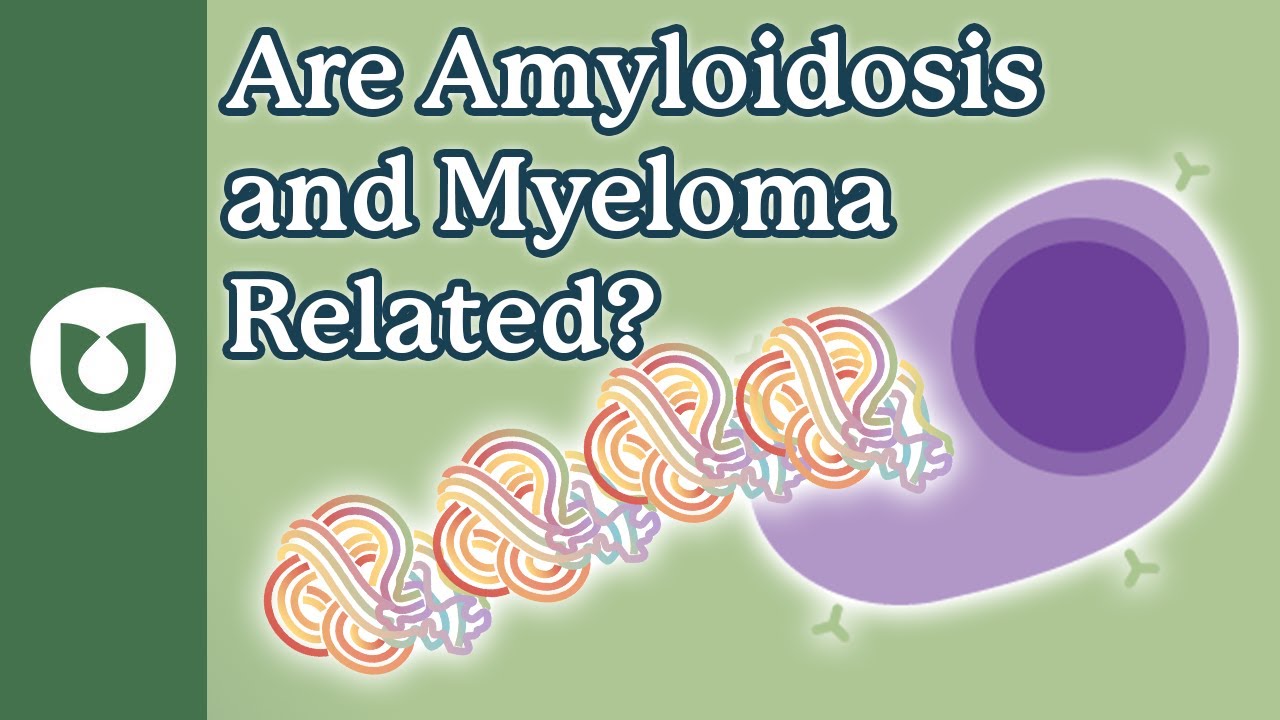 What’s the Connection Between AL Amyloidosis and Multiple Myeloma?