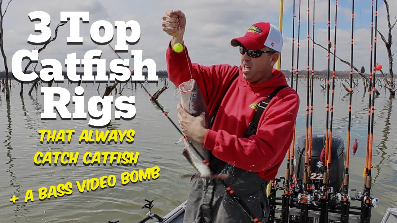 The 3 Top Catfish Rigs (That Always Catch Catfish)