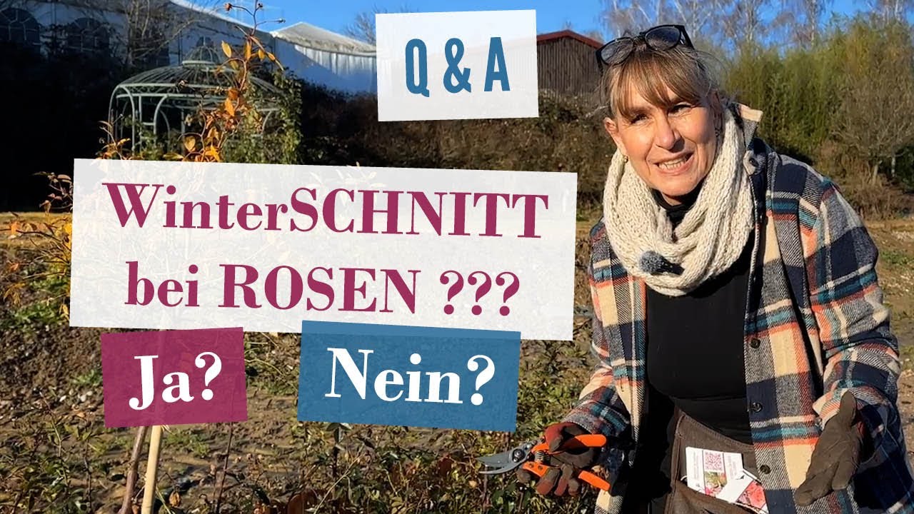ZEITgemäßer ROSEN-Schnitt: Warum nicht einfach SCHNEIDEN wie bisher ? HIER die GRÜNDE!