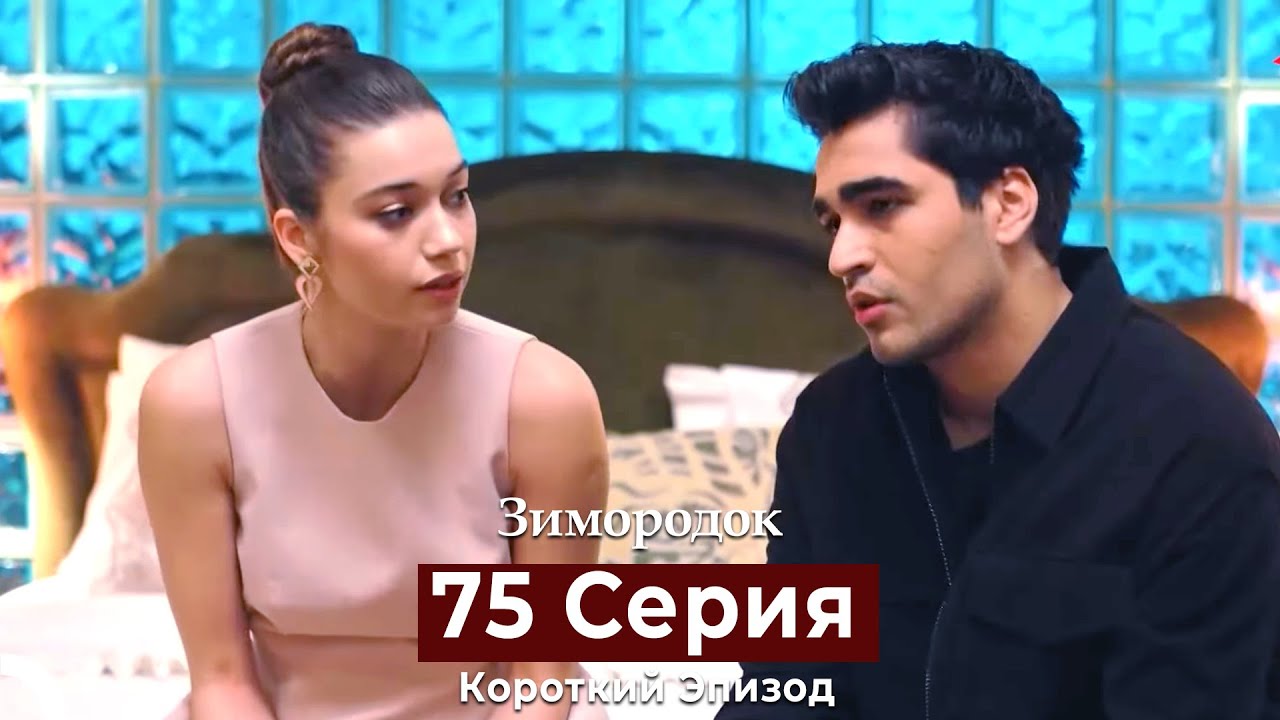 Зимородок 75 Cерия (Короткий Эпизод) (Русский дубляж)