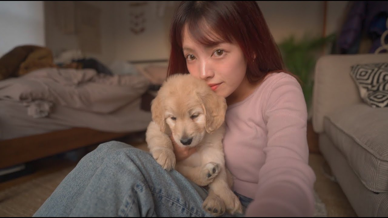 マルコス新しくはじめます。