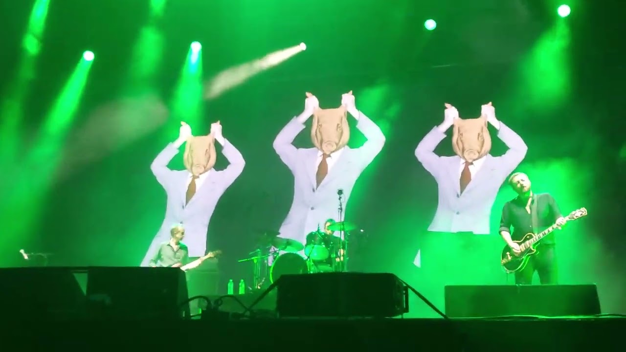 Suede - Animal Nitrate 01/08/24 Audley End live 2024