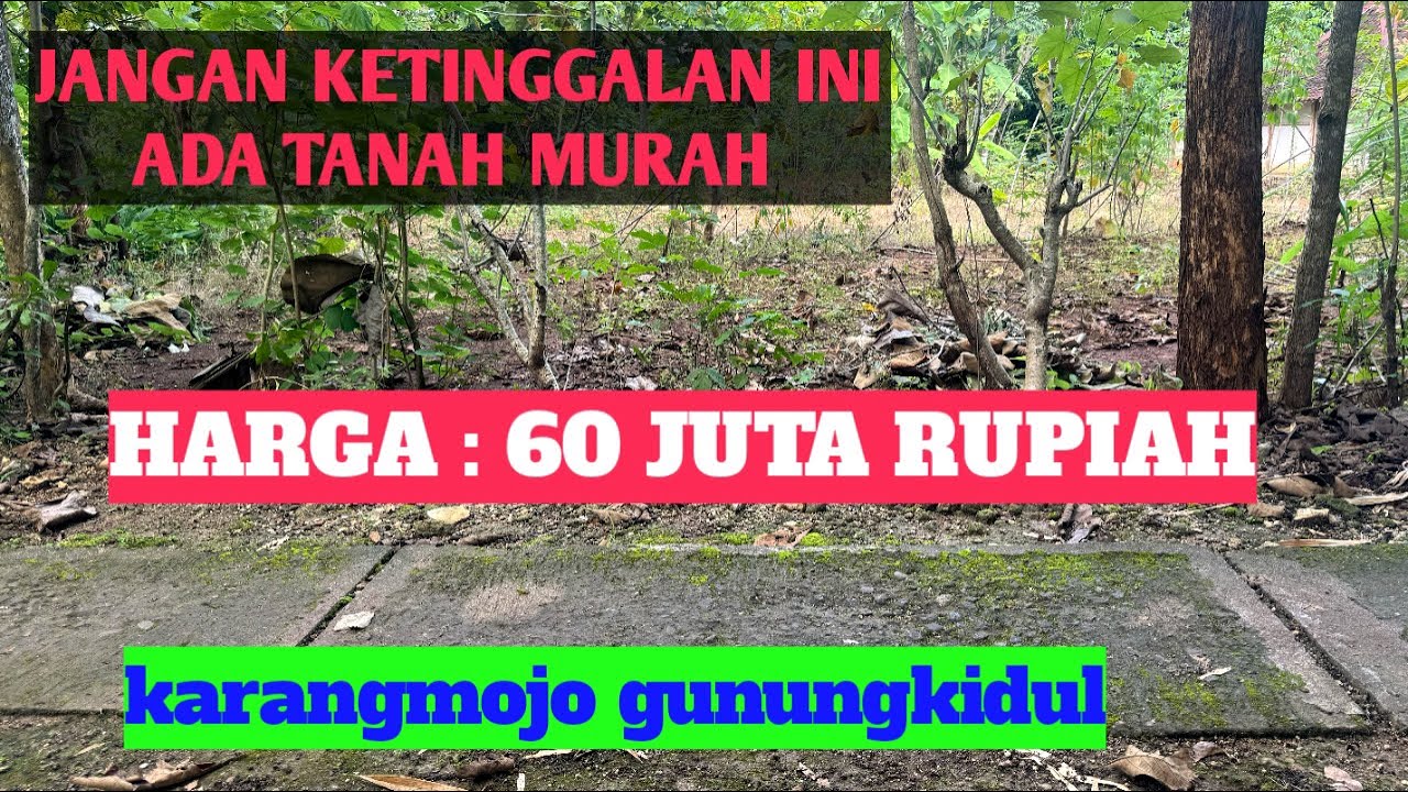 TANAH MURAH HANYA BERJARAK 50 METER DARI SMA NEGRI HARGA 60 JUTA RUPIAH