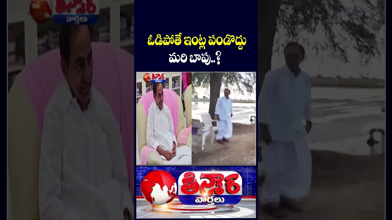 KTR Advice To Defeated Sarpanches .. Then What About KCR ? | V6 Shorts