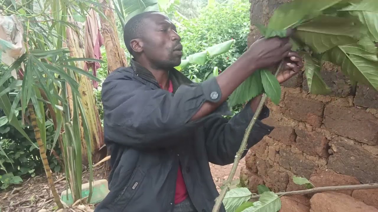 Nitihanamana ibatuguye iraje kubahana,0796675695
