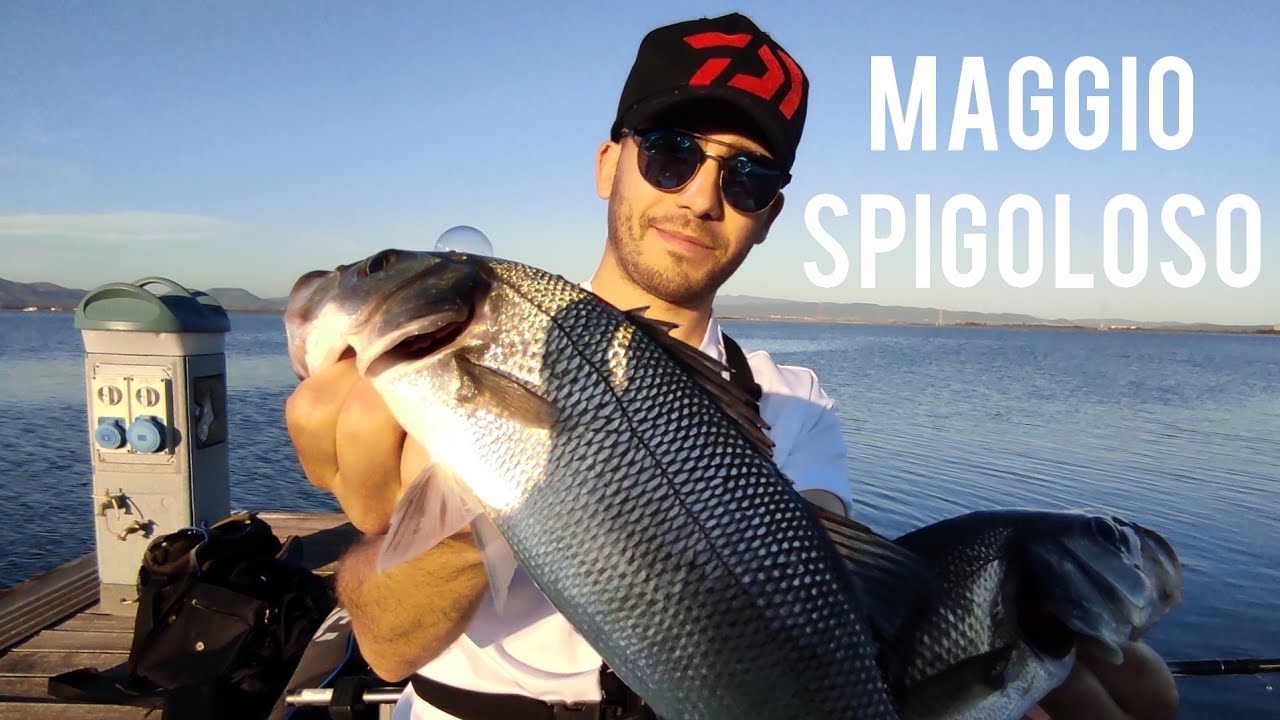 MAGGIO SPIGOLOSO | SPIGOLE a BOLOGNESE con il BIGATTINO.
