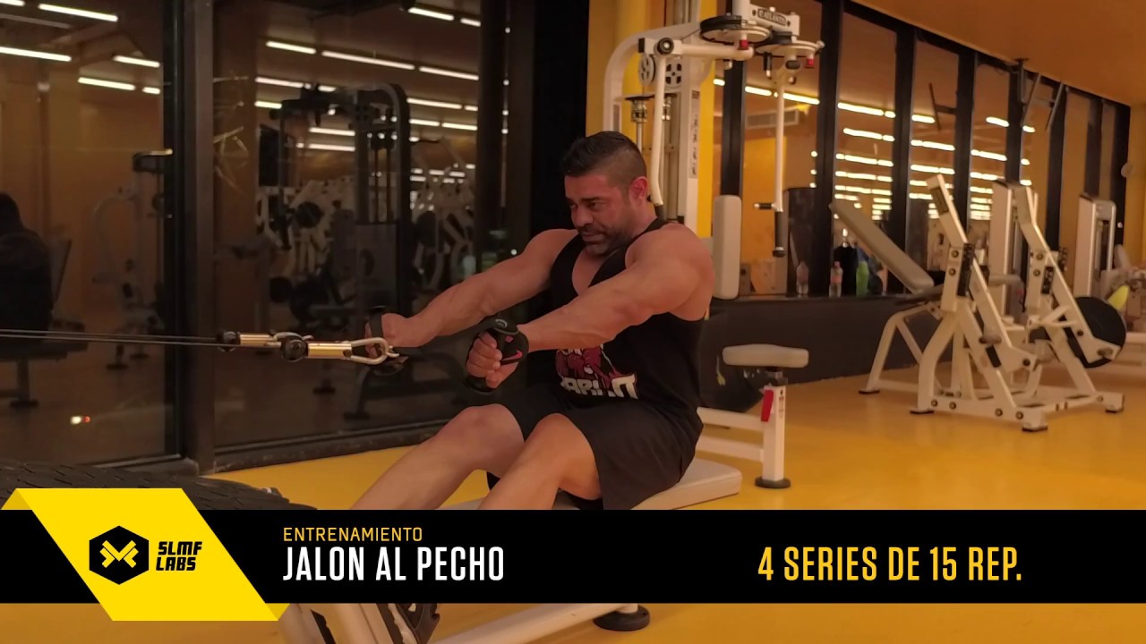 RUTINA DE ESPALDA: CALIDAD MUSCULAR