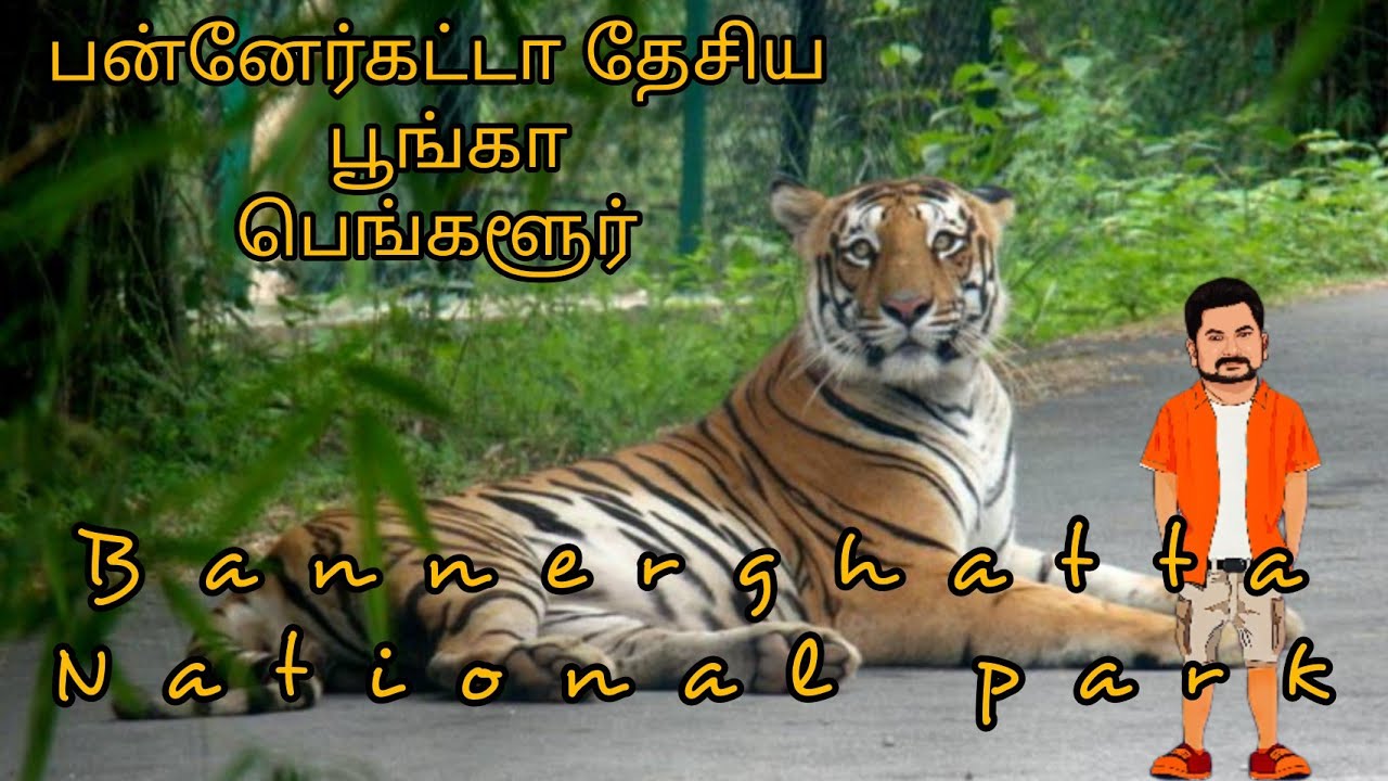 Bannerghatta National Park - Travel Guidance - Ep50
