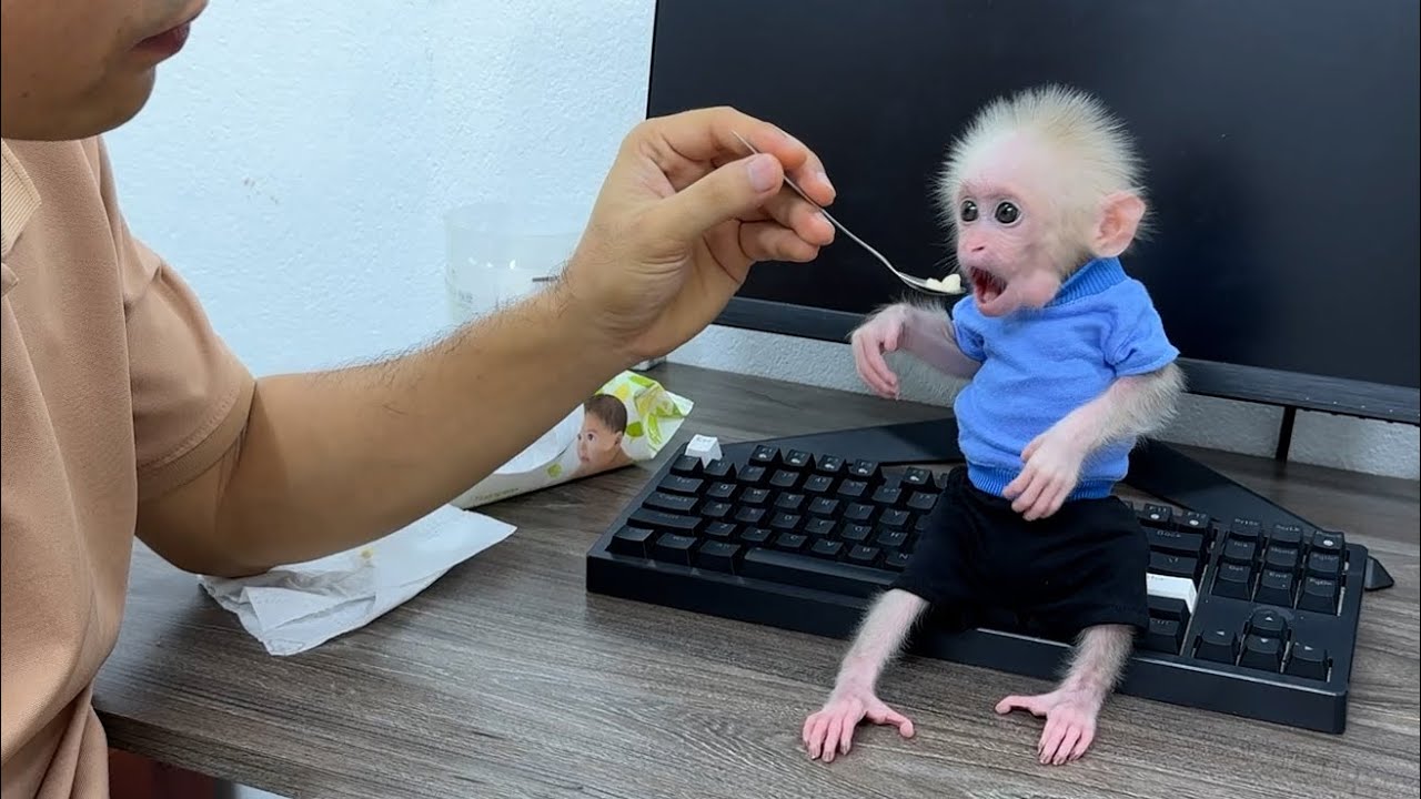 Who visited baby monkey Xuka when she was not well?