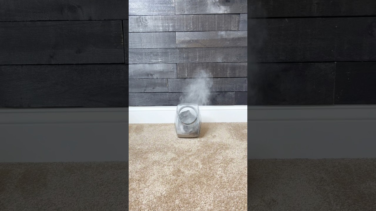 an extra dusty bath 💨🛁  #bathtime #chinchilla #shorts