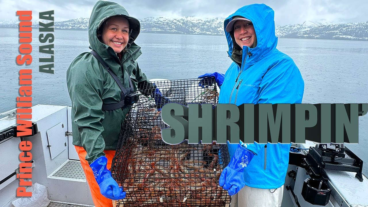 Part I | 2024 Shrimping | Prince William Sound | Whittier, Alaska
