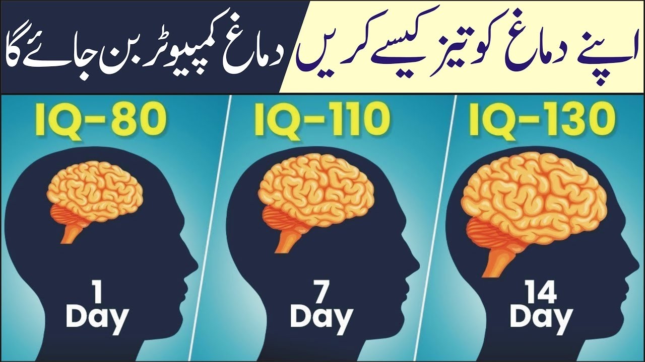 How to Increase Your Brain Power urdu | IQ Level Increase kaisay kurain