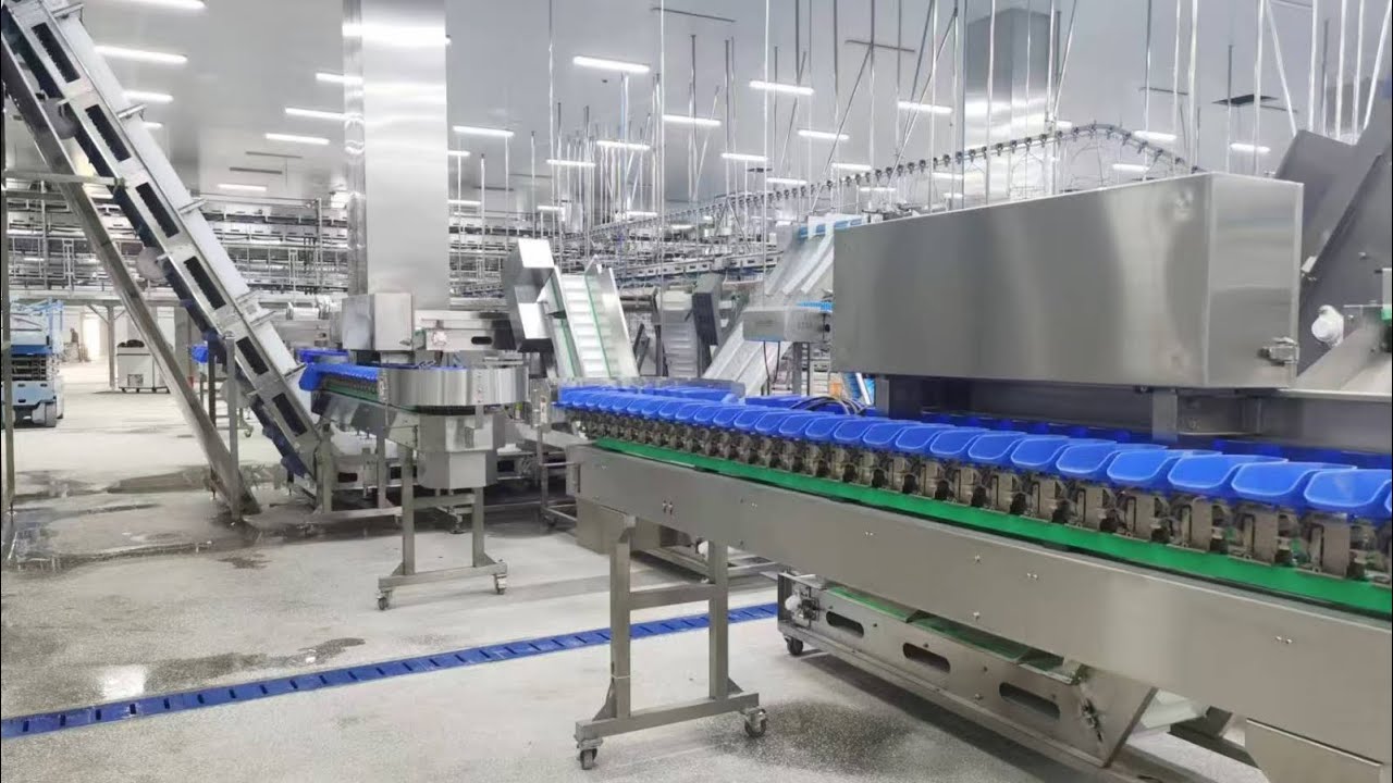 Automated oyster production line
