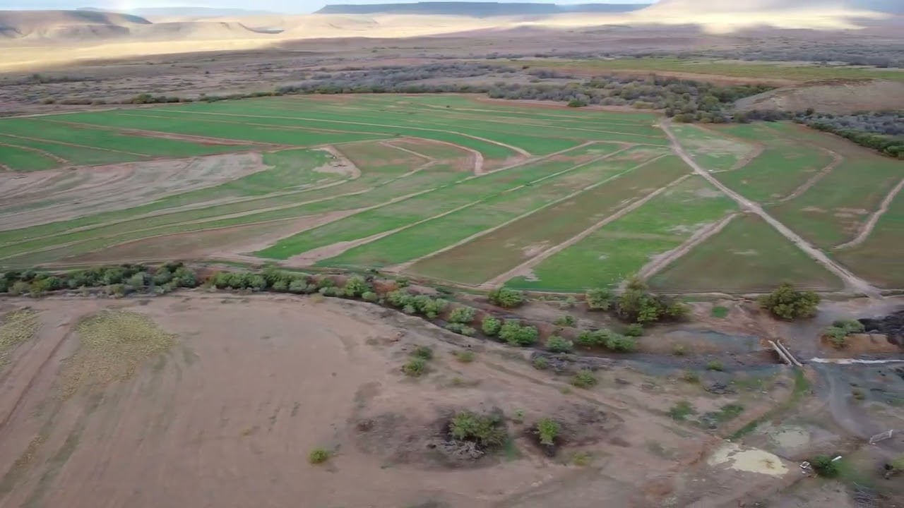 Brandkop Guest Farm June 23