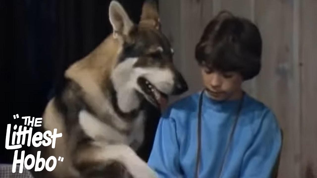 The Spirit of Thunder Rock – Part 2 | The Littlest Hobo | Season 4 | Episode 8