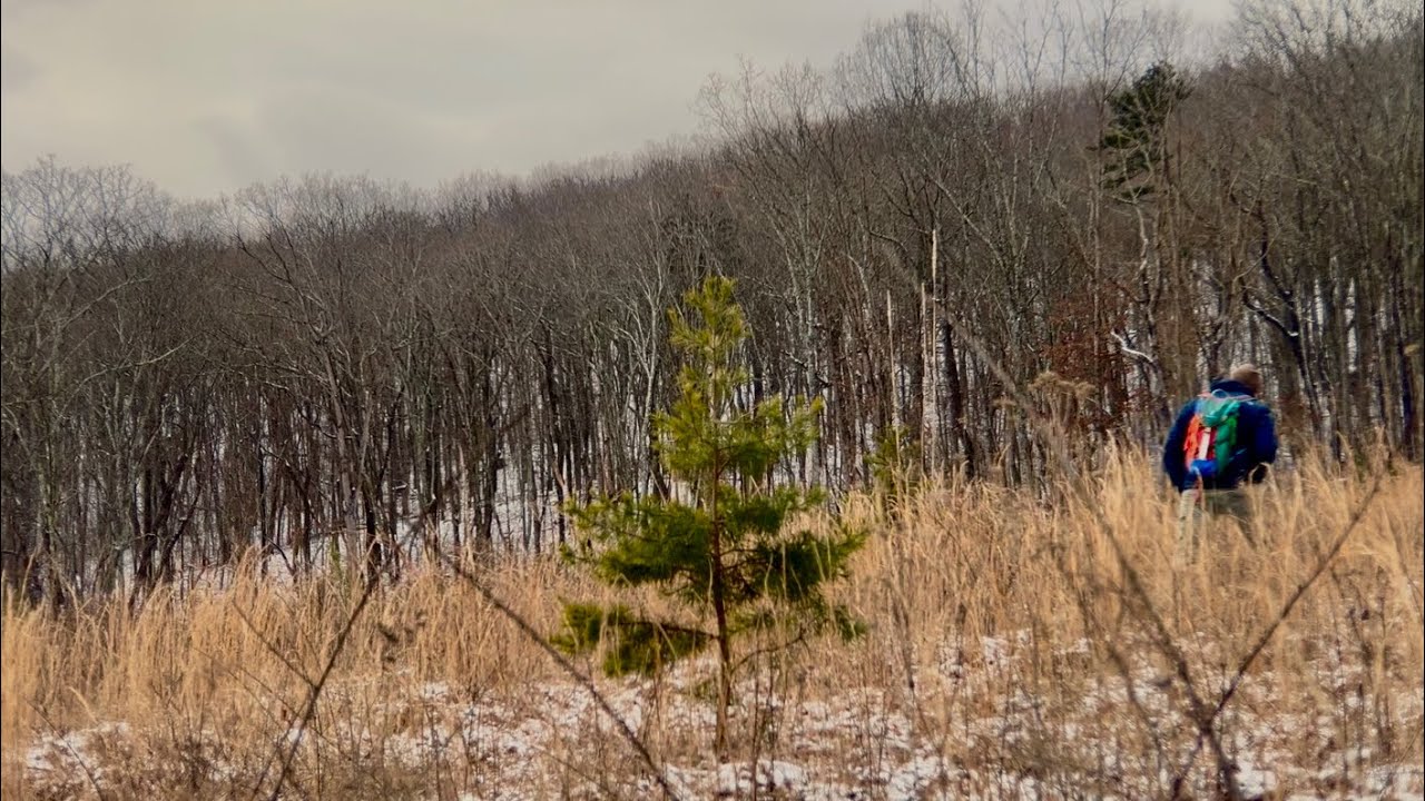 10 Minutes of Peaceful Hiking and Art— Craeg Trail, Georgia 