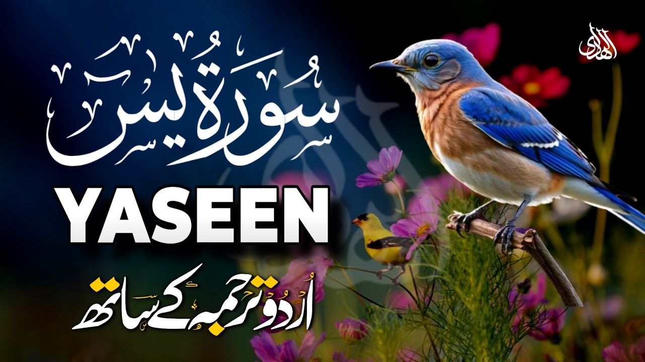 Surah Yaseen Urdu Tarjuma ke Sath | Peaceful Recitation | Episode - 673