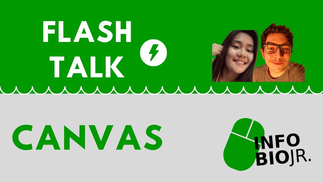 Flashtalk: Business Model Canvas