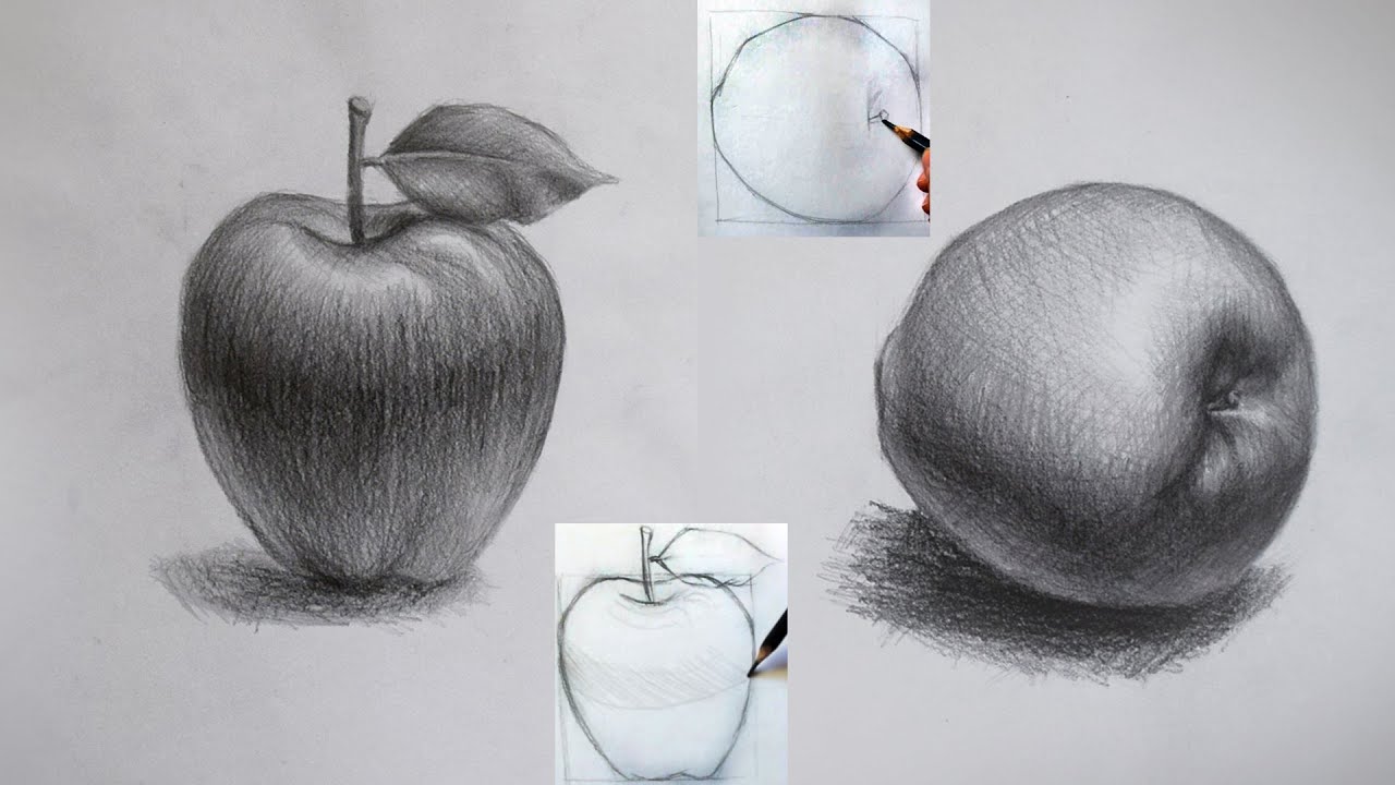 رسم التفاح || رسم طبيعة صامتة للمبتدئين