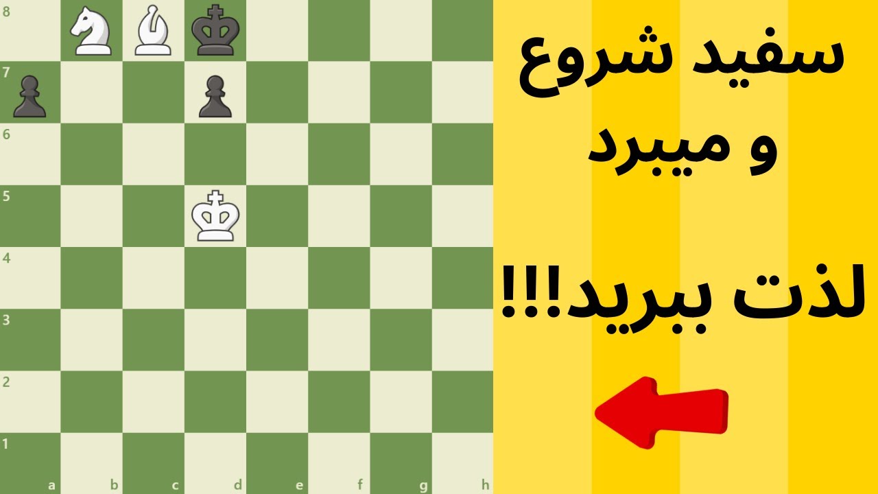 !!!سفید شروع و میبرد،،، لذت ببرید l White Wins, Just Enjoy