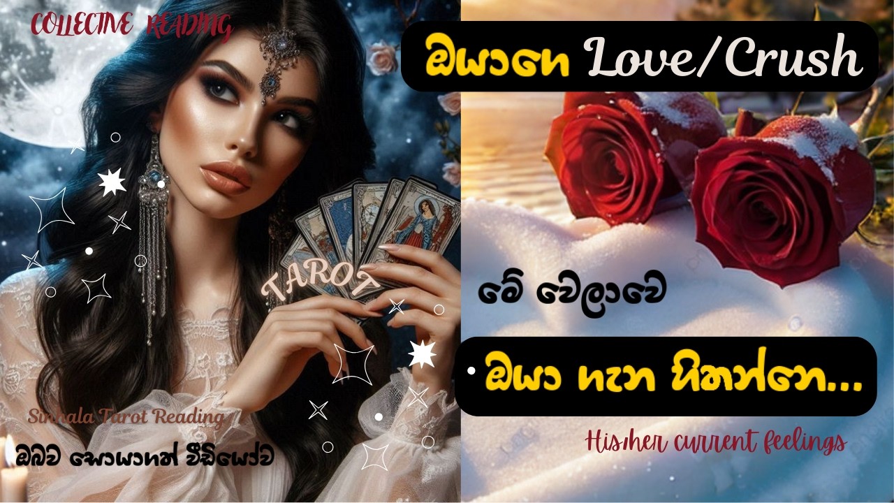 Love/Crush🥰ඔයා ගැන හිතන්නෙ💏His/her current thoughts😘✨Collective Tarot Reading🔮@ClearRaysYT#ClearRays