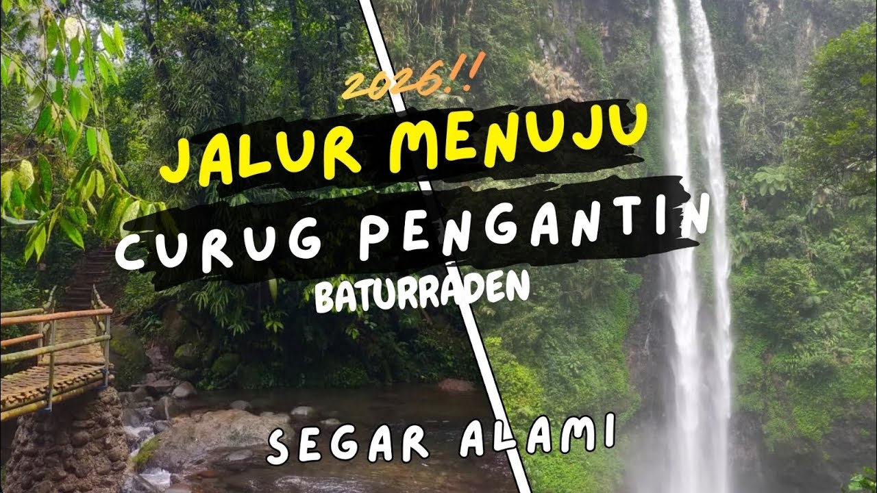 Jalur Menuju Curug Pengantin Baturraden 2026 | Segar & Alami