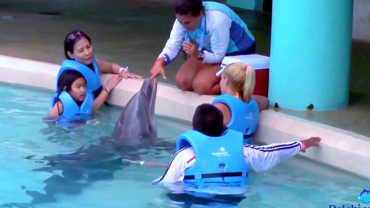 Interactive Aquarium, Cancun, Mexico April 14-18, 2017