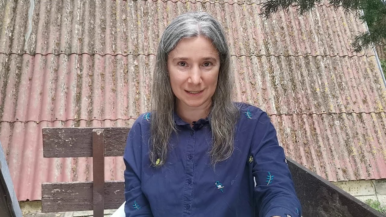 Три сестры и Гейша: Чехов, Дональд Рейфилд, Pushkin House