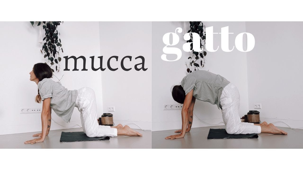 Tutorial Gatto Mucca Yoga | Mobilità spina dorsale