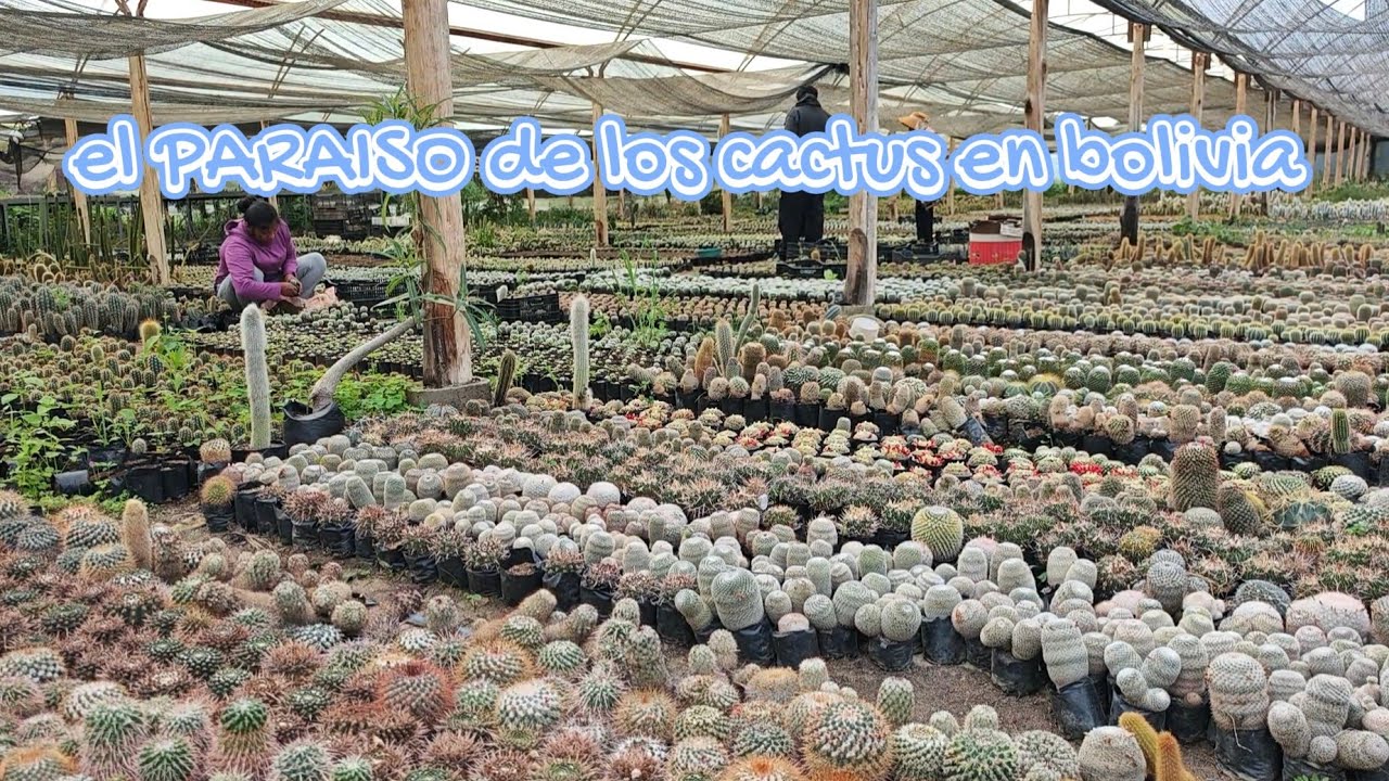 Visitamos al sr Jhon en cochabamba