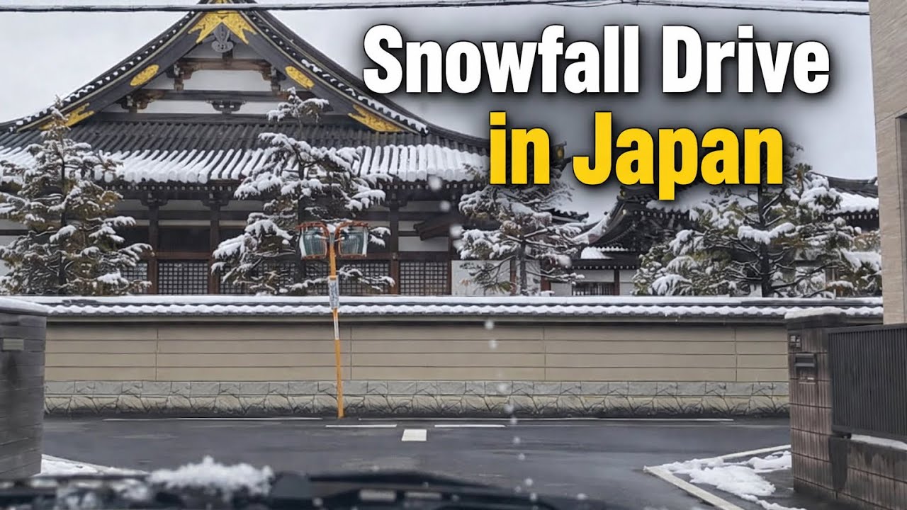 Peaceful Snowfall in Japan | Winter Road View 🇯🇵❄️