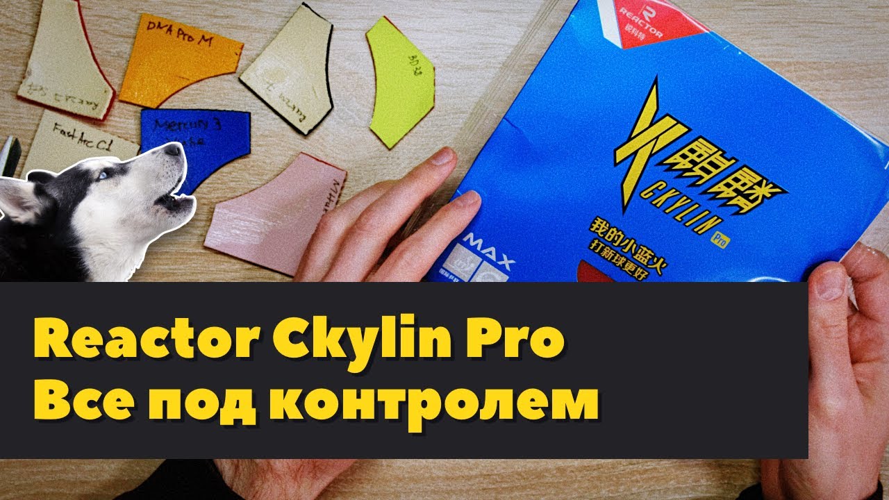 Накладка Reactor Ckylin Pro — китайский недотензор