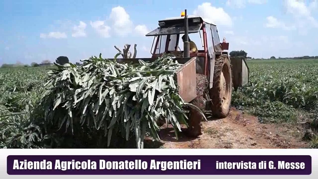 Azienda Agricola Donatello Argentieri