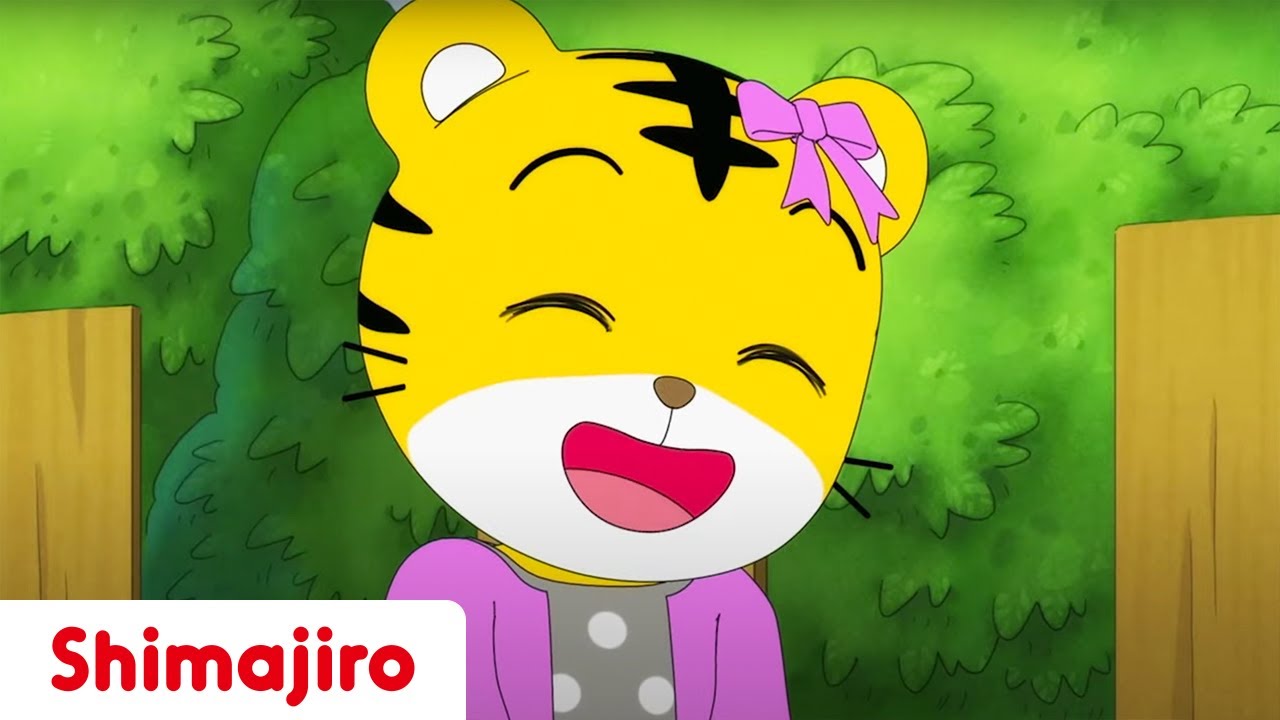 Hannah Gets a Sister 💕Brother & Sister | Kids video for kids |Shimajiro