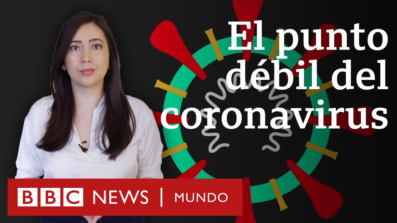 El punto débil del coronavirus que encontró una física mexicana y cómo puede servir para bloquearlo