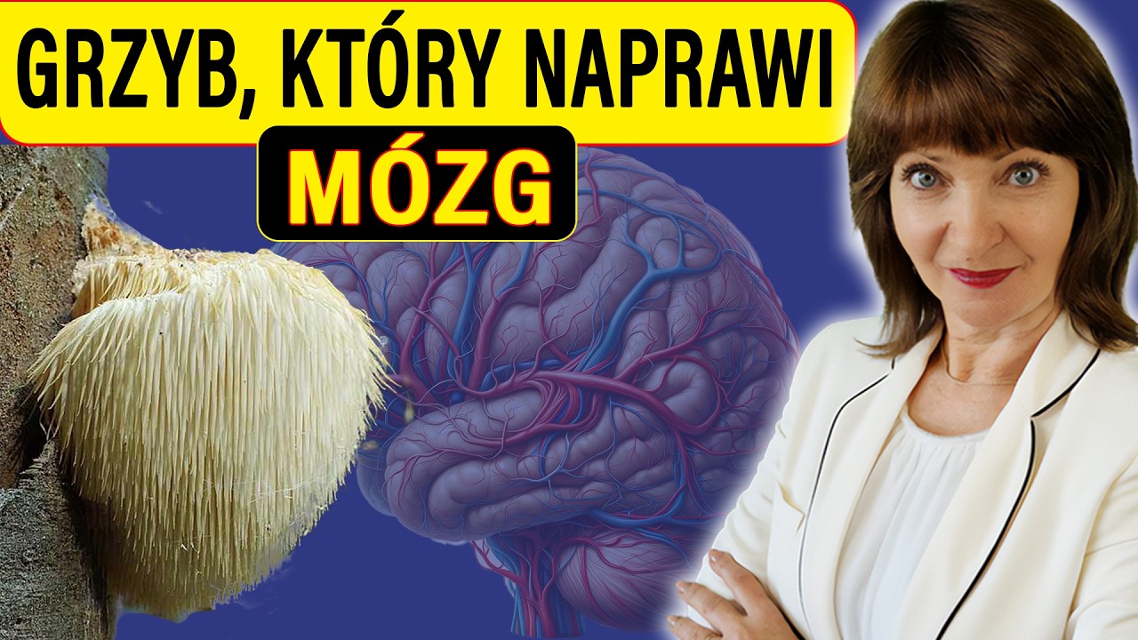 Grzyb, kt&oacute;ry naprawia M&Oacute;ZG - Fenomen sopl&oacute;wki jeżowatej