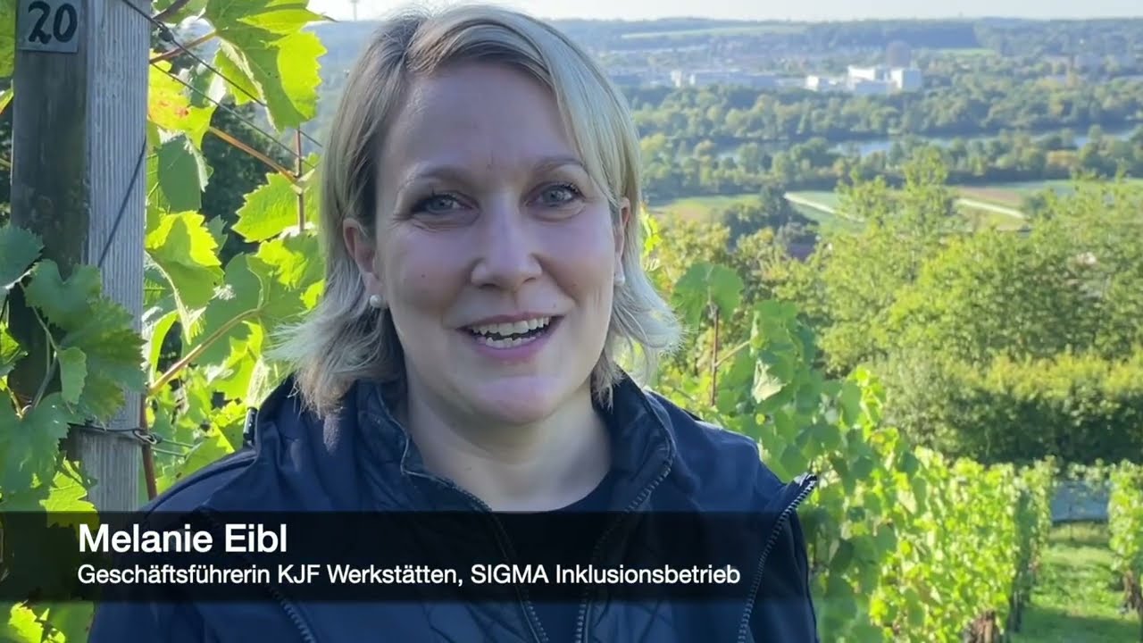 Weinlese im KJF Weinberg 2025