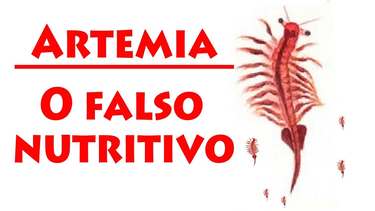 Artemia - O falso nutritivo