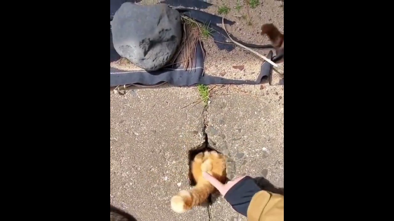 Untitled Video #Gay #Dick #GayTeam