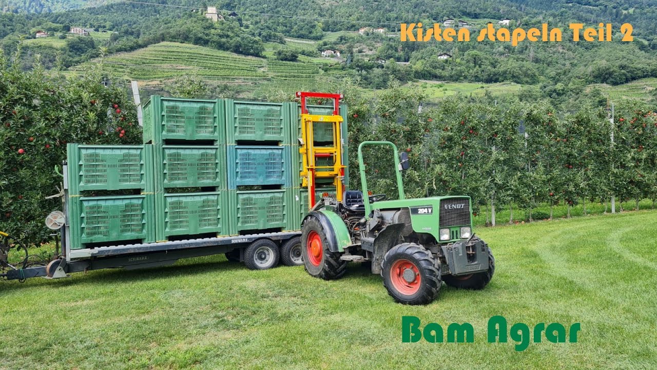 Real Life #5/Apfelernte/🍎 Kisten stapeln mit Fendt 204v🚜/Teil 2/ Bam Agrar
