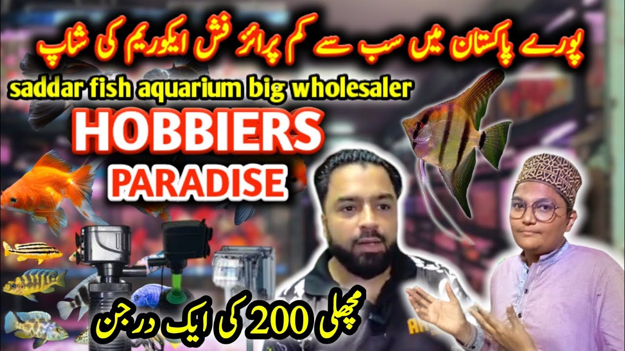 fish aquarium saddar || HOBBERS PARADISE FISH AQUARIUM SADDAR KARACHI PAKISTAN bigg wholesaler🐟🐠🦐